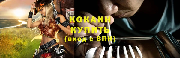 твердый Арсеньев