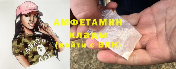 амф Аркадак