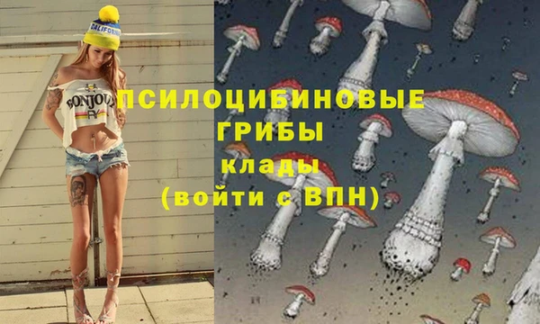 спайс Алексин