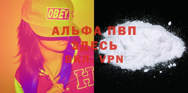 твердый Арсеньев